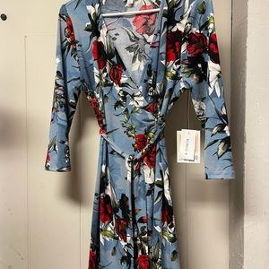 Lularoe MICHELLE DRESS